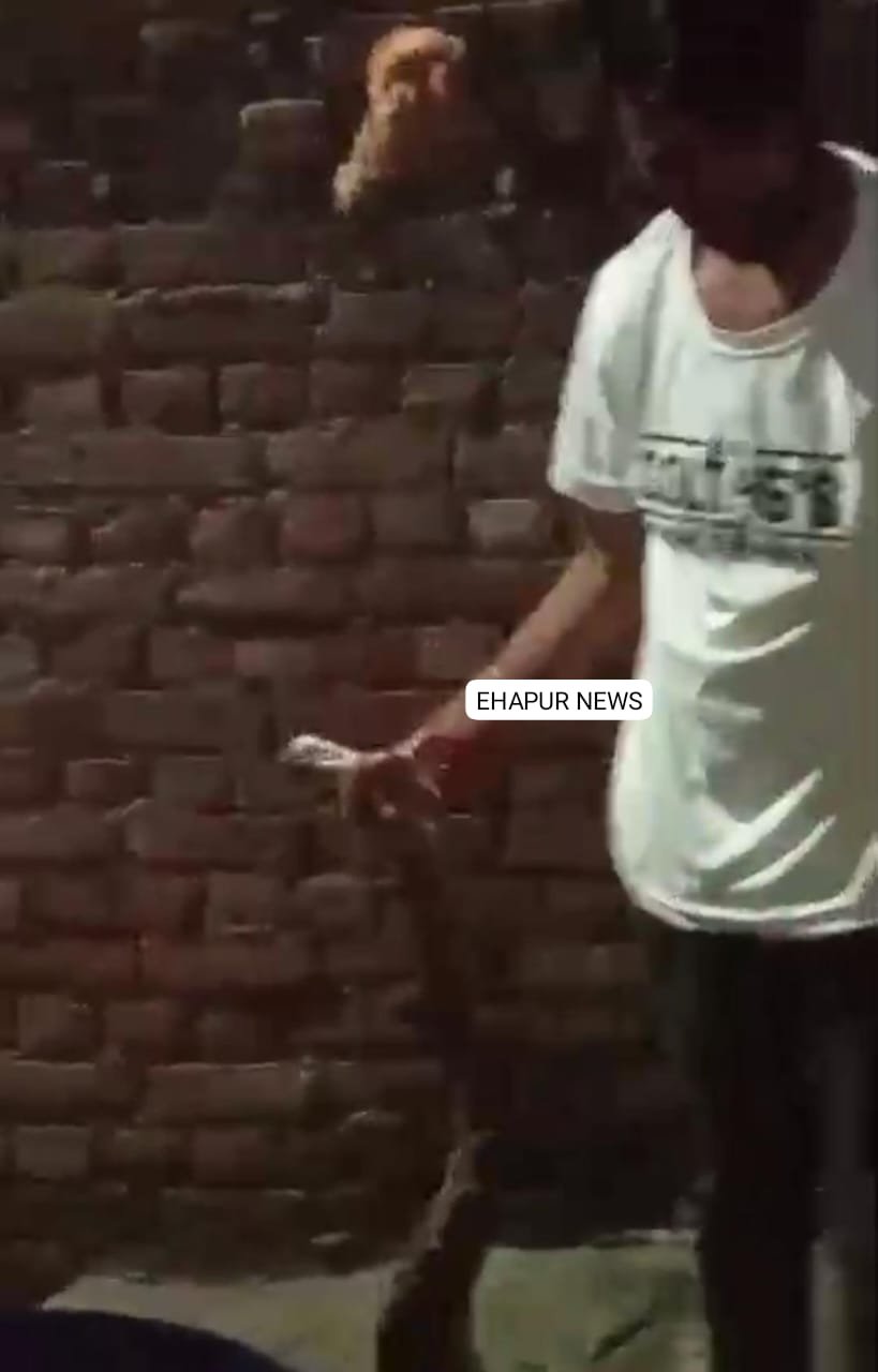 विशाल अजगर को पकड़ा तो अजगर ने काटा