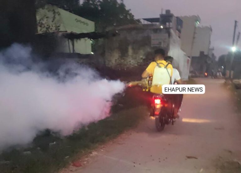 गांव में की जा रही फॉगिंग