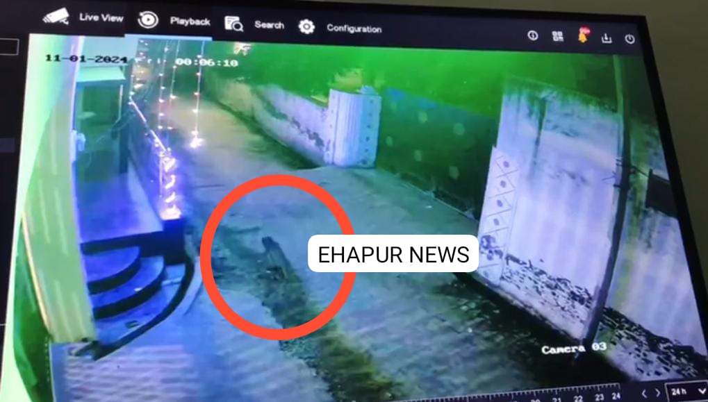 गांव श्यामपुर में घूमता हुआ तेंदुआ सीसीटीवी में कैद