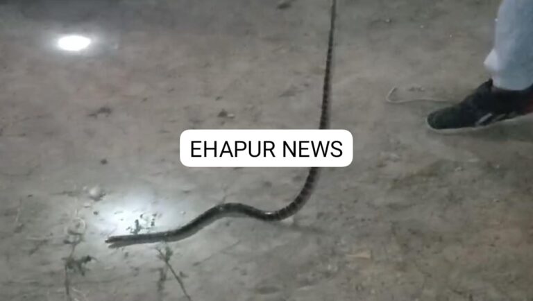 बाबूगढ़ में निकला दुनिया का सबसे ज़हरीला सांप