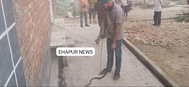 चार फीट लंबे सांप का किया रेस्क्यू