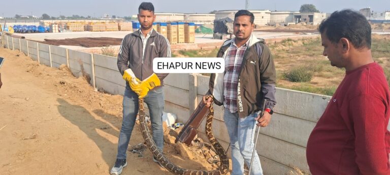 अजगर निकलने से मचा हड़कंप