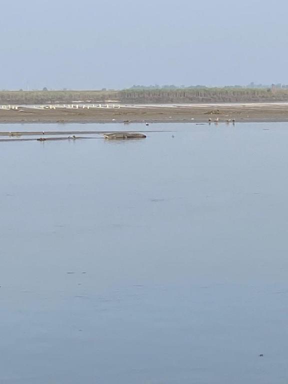 ज्येष्ठ गंगा दशहरा पर तीन जून की रात से रूट रहेगा डाइवर्ट