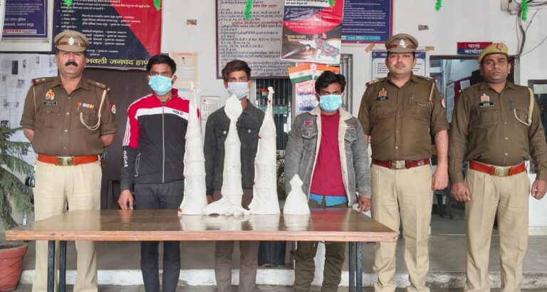 सिम्भावली के दो मंदिरों में चोरी करने वाले पकड़े गए