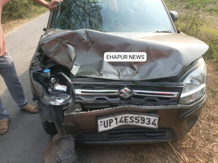 नीलगाय से टकराई कार