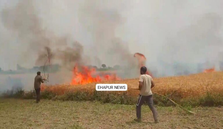 फसल में आग लगने से हुआ नुकसान