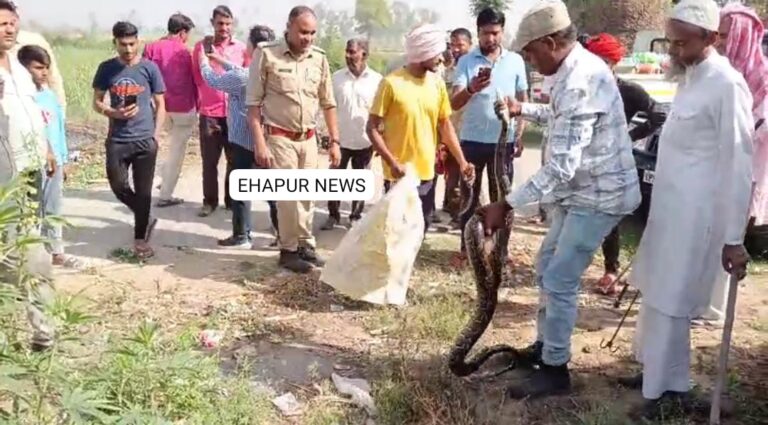 स्कूल के पास अजगर निकलने से हड़कंप
