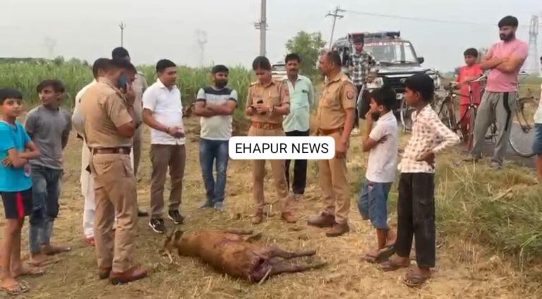कुत्तों ने किया बारहसिंगा पर हमला, मौत