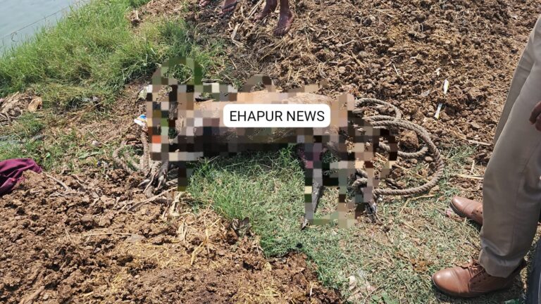 सिंभावली: तालाब में मृत अवस्था में मिला हिरण