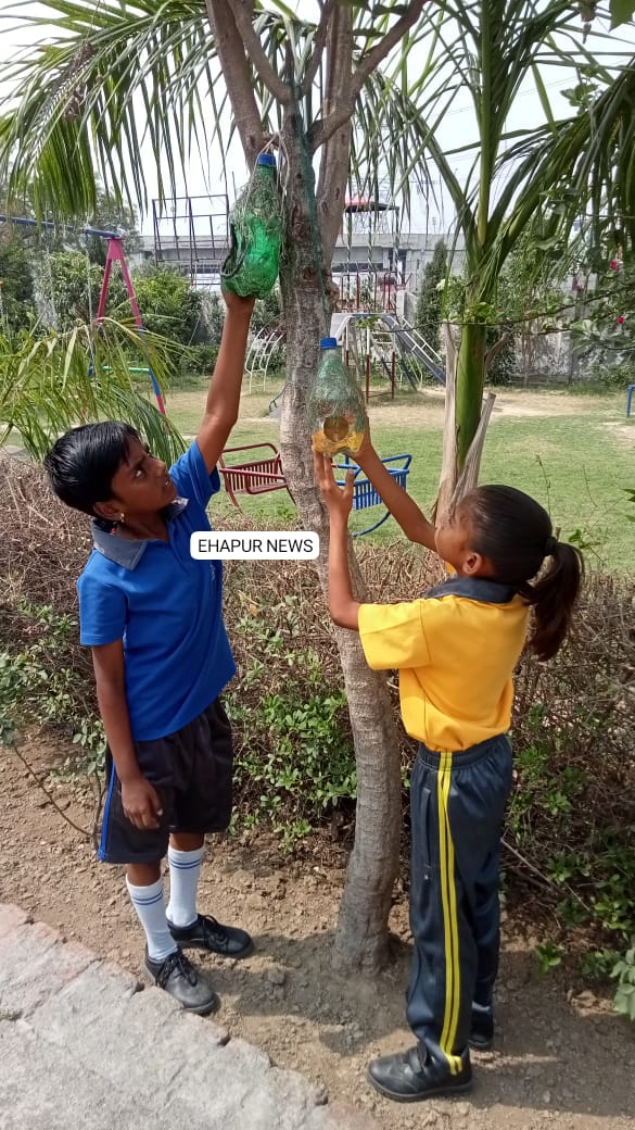 एस.ए. इंटरनेशनल स्कूल के छात्रों की शानदार पहल, प्लास्टिक की बोतल से बनाया सुंदर बर्ड फीडर