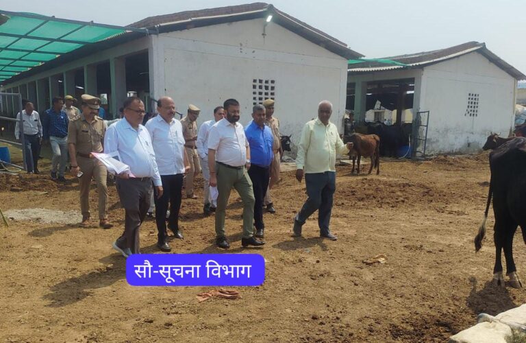 नोडल अधिकारी ने वृहद गो संरक्षण केंद्र भटैल में पशु चारे की गुणवत्ता को देखा