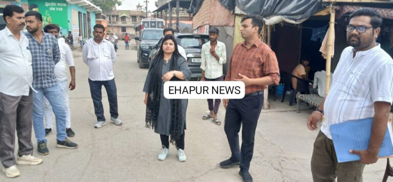 एसडीएम व ईओ ने किया ब्रजघाट का निरीक्षण