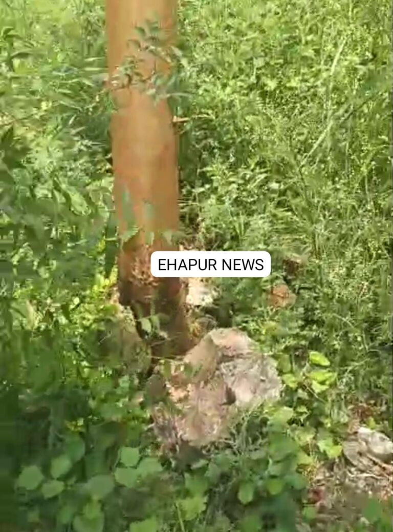 बिजली का जर्जर खम्भा दे रहा हादसों को न्योता
