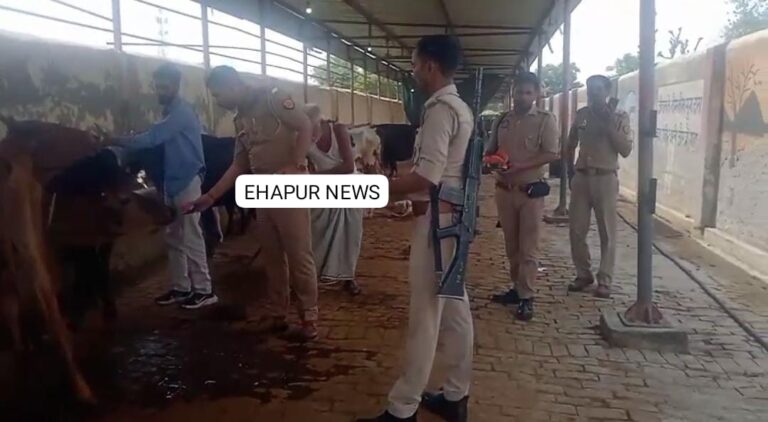 सिंभावली थाना प्रभारी ने की गौसेवा