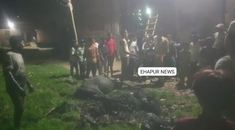 पांच फीट गहरे गड्ढे में गिरे बैल को सुरक्षित बाहर निकाला