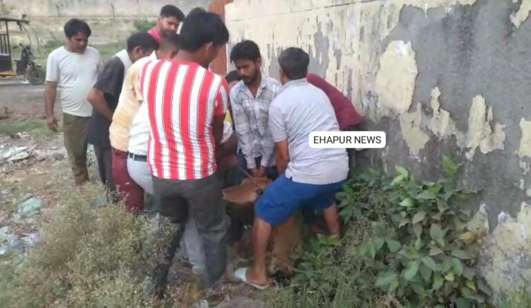नाले में गिरे गोवंश को सुरक्षित बाहर निकाला