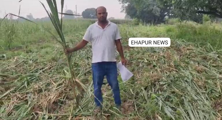 ट्रैक्टर जोत कर फसल नष्ट करने का लगाया आरोप