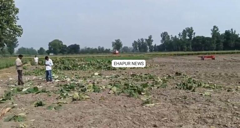 प्रतिबंधित पेड़ काटने के मामले में किसान व ठेकेदार पर मुकदमा