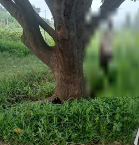 युवक ने मौत को गले लगाया