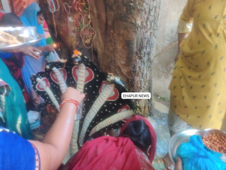 हापुड़ में मनाई गई नाग पंचमी
