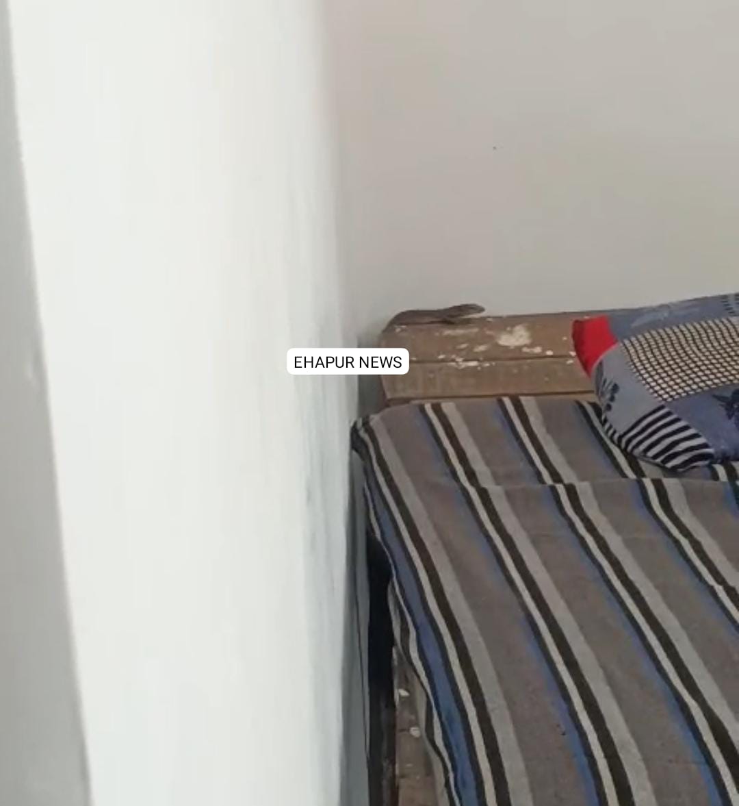 चंदनगो ने घरों व सड़क पर मचाया तांडव, वन विभाग ने पकड़ा