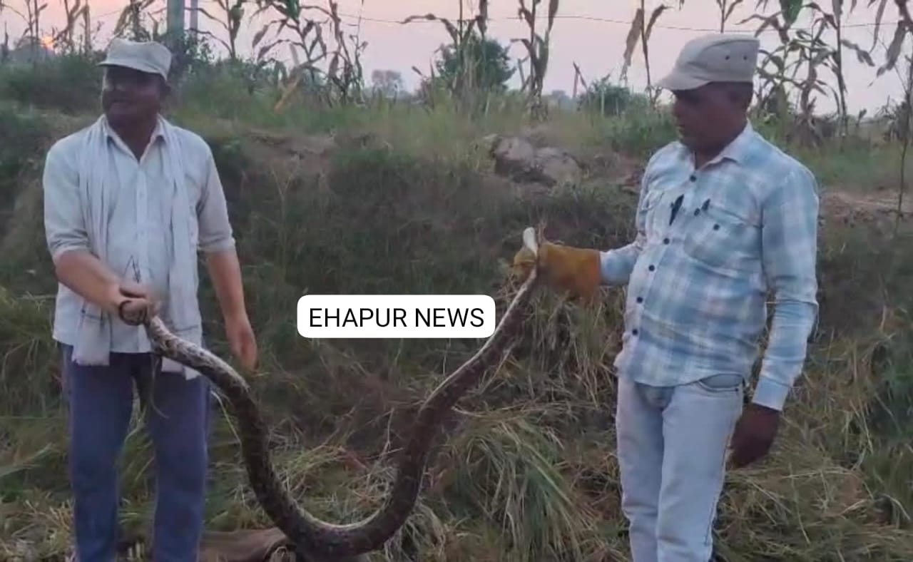 सात फीट लम्बा अजगर निकलने से हड़कंप