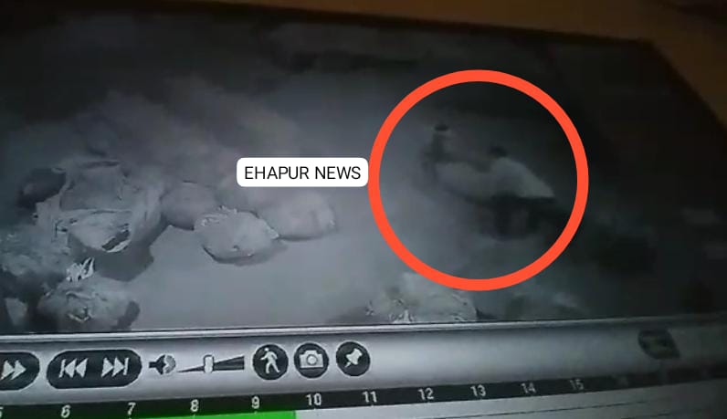 नवीन मंडी में चोरी करने वाले सब्जी चोर सीसीटीवी में कैद