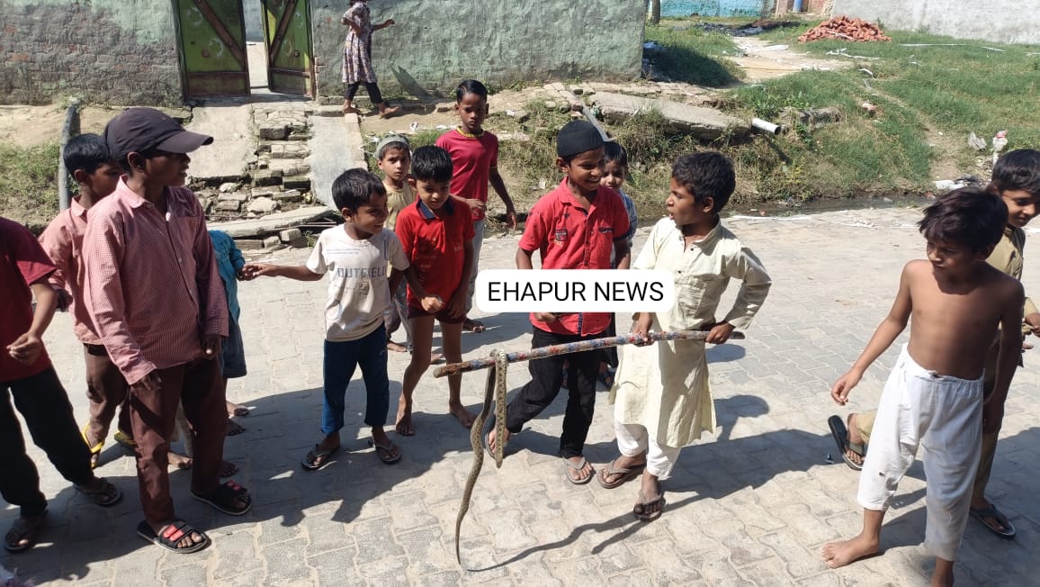 घर में घुसे सांप को बच्चों ने साहस का परिचय दिखाते हुए पकड़ा