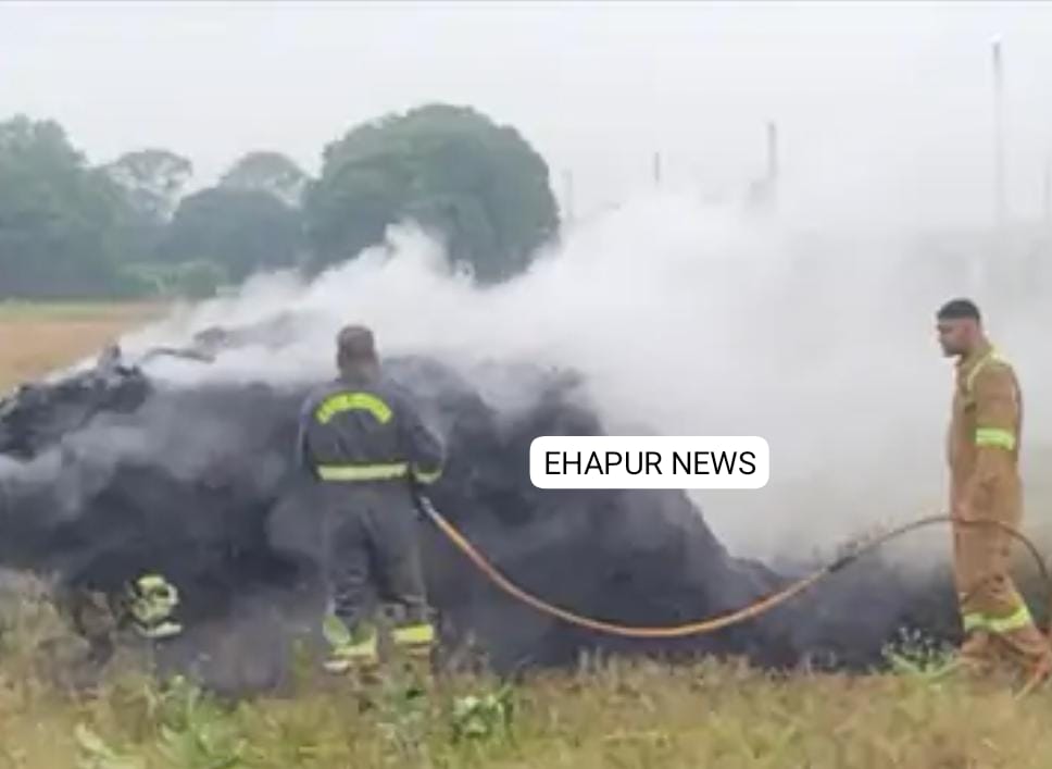 पूलों में लगी आग पर दमकल विभाग ने पाया काबू