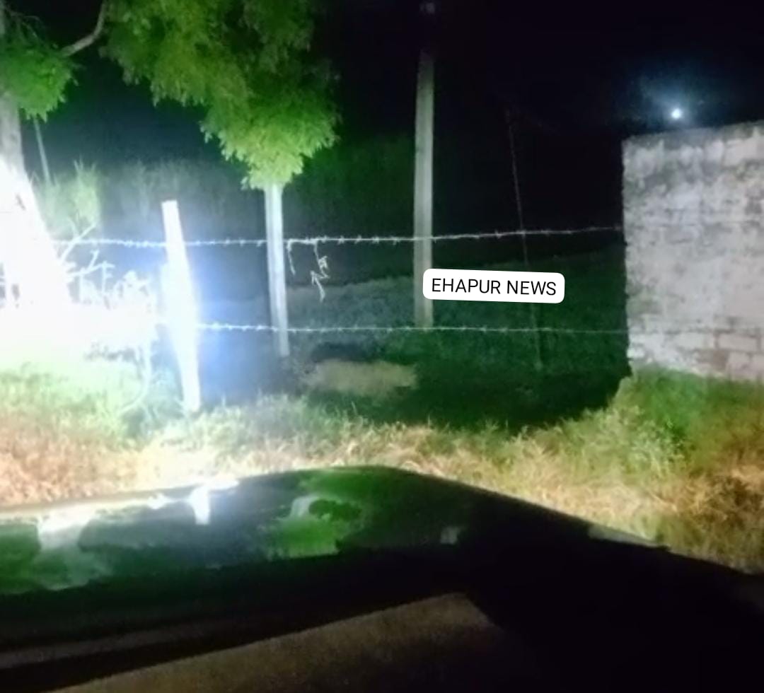 तेंदुआ दिखने से हड़कंप, वन विभाग तलाश में जुटा