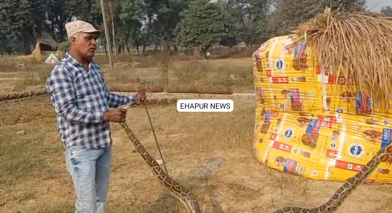 आठ फीट लंबा अजगर मिलने से हड़कंप