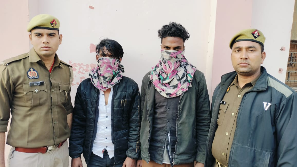 मवेशियों को बेहोश कर मांस के धंधेबाज धरे गए