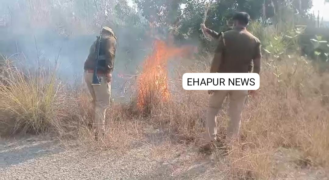 पिलखुवा: जंगलों में लगी आग, मौके पर पुलिस व दमकल विभाग