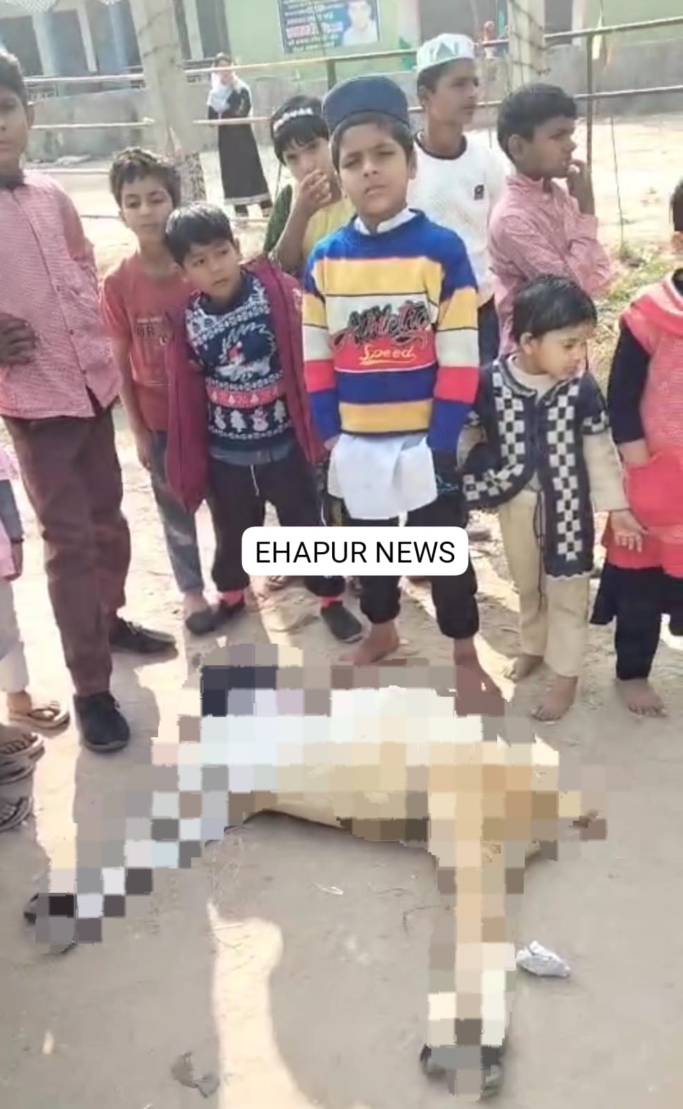 पिलखुवा: ट्रांसफार्मर की चपेट में आने से बकरे की मौत