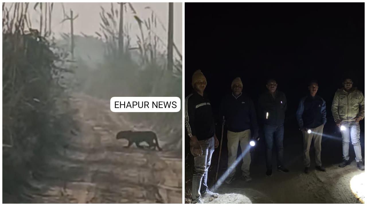 तेंदुए की वीडियो वायरल होने के बाद वन विभाग ने की कांबिंग