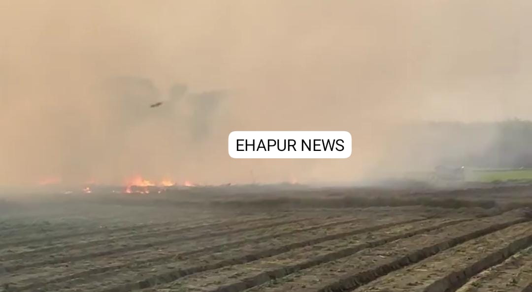 पराली में आग लगाने से इलाका हुआ प्रदूषित