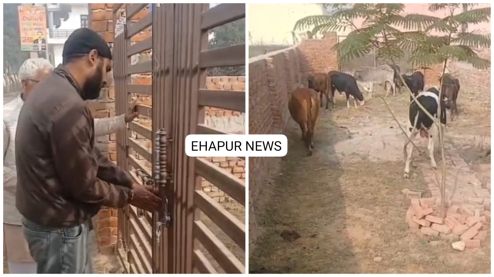 गोवंश को पकड़कर बंद करने का मामला: राष्ट्रीय गौ सेवा संघ के कार्यकर्ताओं ने निकाला