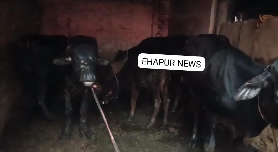बाबूगढ़: मकान में आग लगने से छह पशु जलकर झुलसे, लाखों का नुकसान