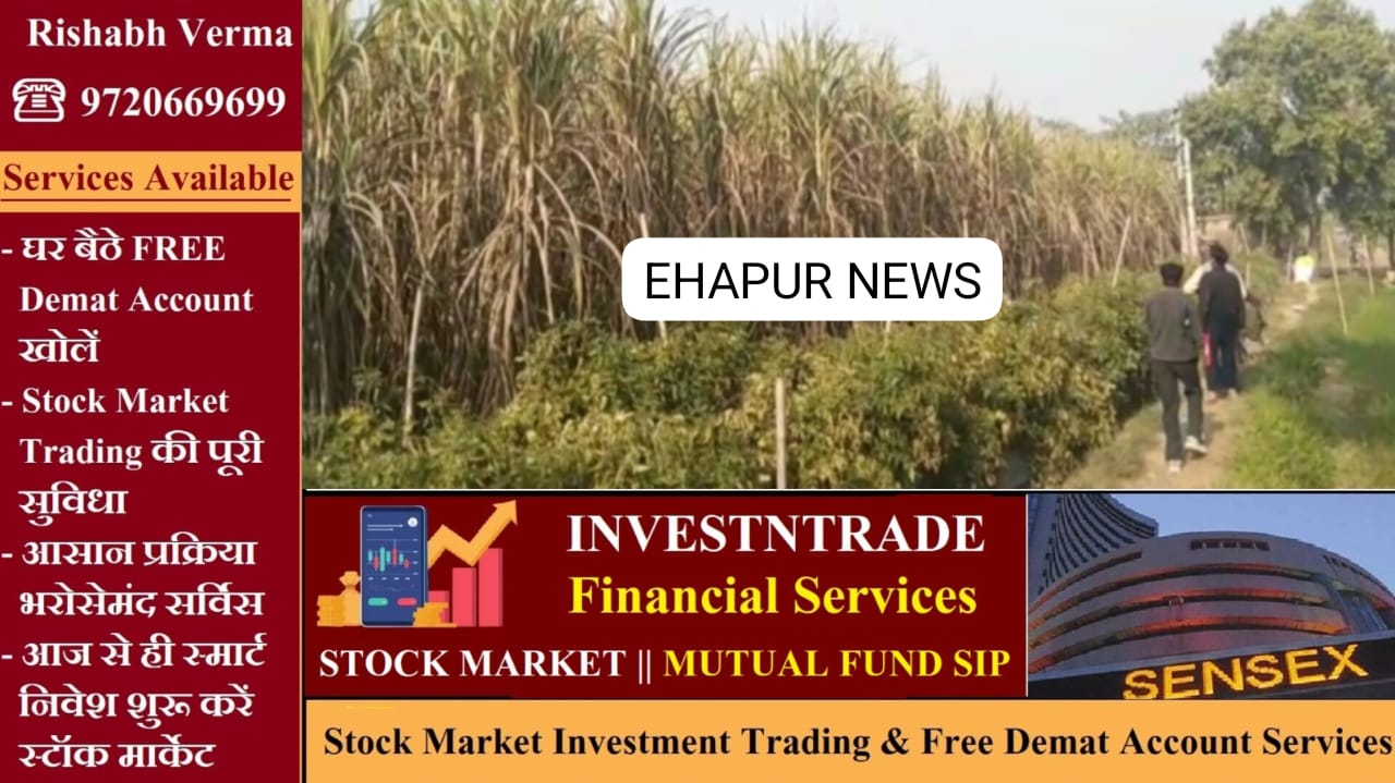 तेंदुए की तलाश के लिए सर्च ऑपरेशन शुरू