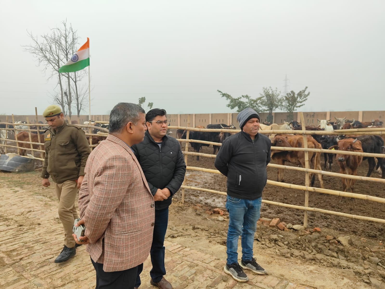 सीडीओ ने प्राथमिक एवं उच्च प्राथमिक विद्यालयों तथा गौशालााओं का किया औचक निरीक्षण