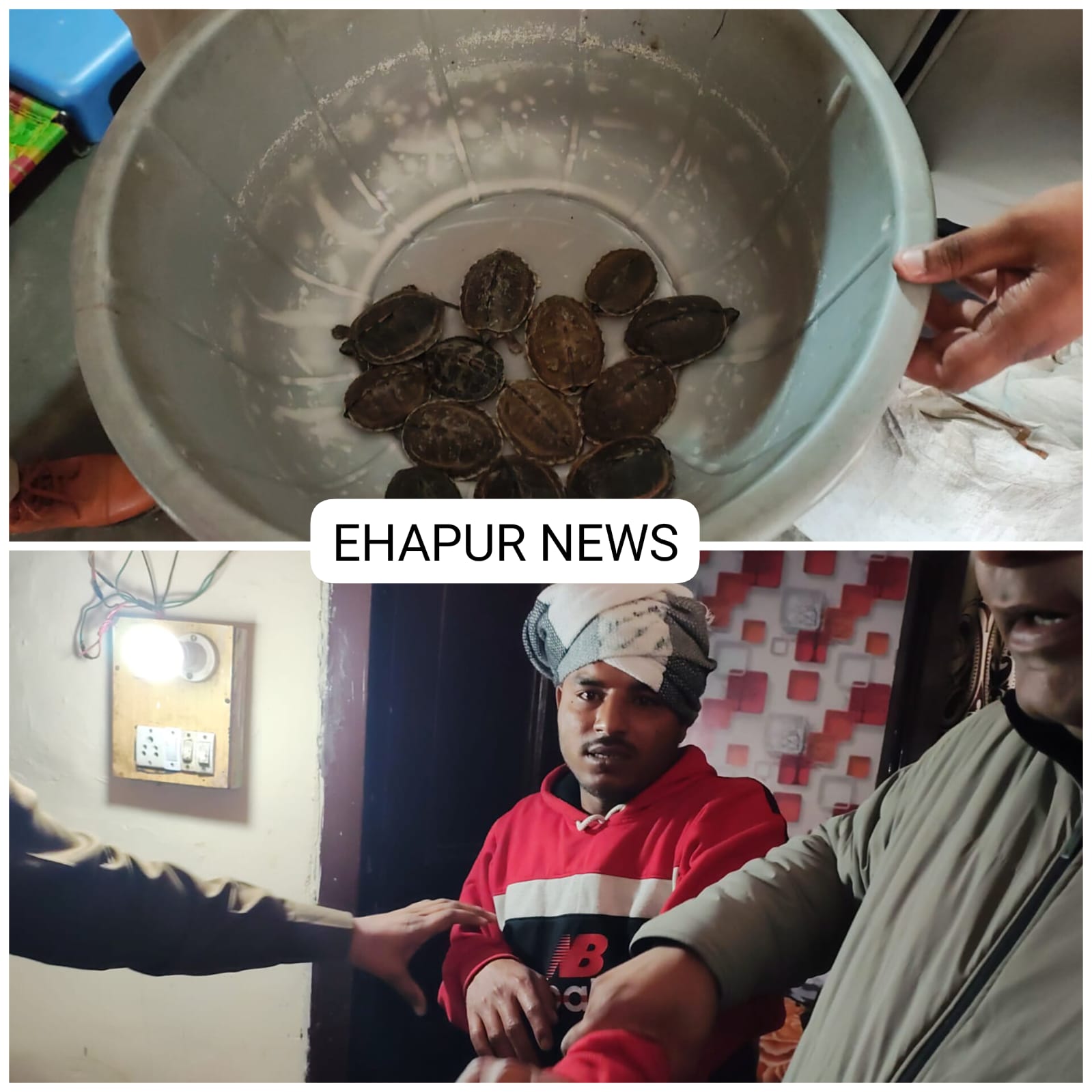 वन विभाग ने 13 कछुओं को बरामद कर एक तस्कर को पकड़ा