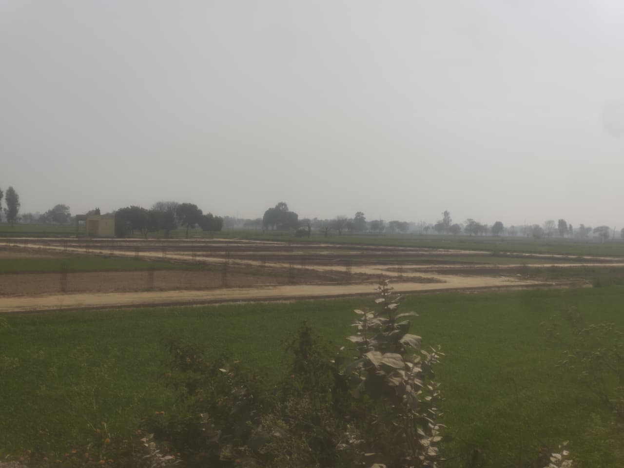 बछलौता रोड पर सबसे बड़ी अवैध प्लाटिंग