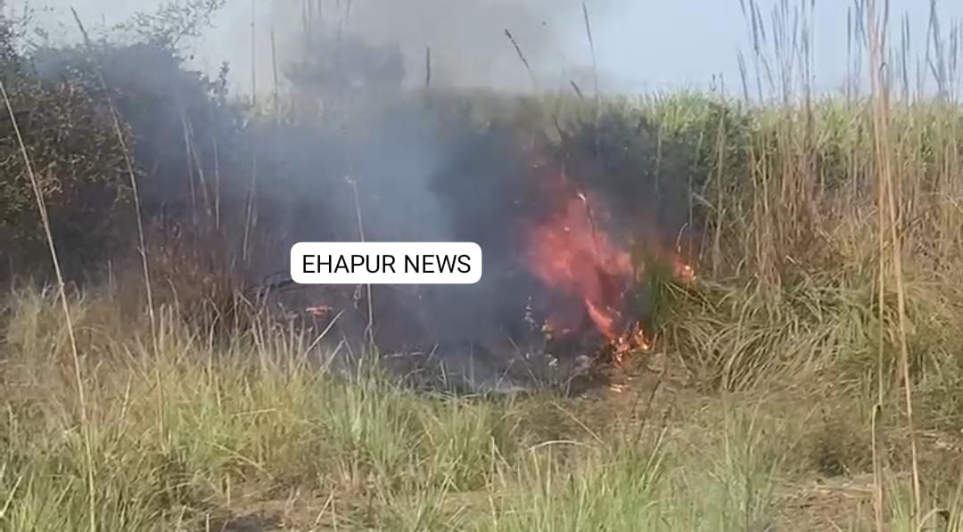 पिलखुवा: गन्ने के खेत में लगी आग