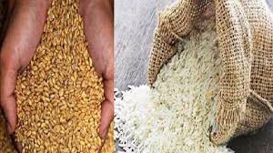 पक्का बाग के ठिकानों पर बिका राशन का गेहूं-चावल