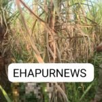 WhatsApp Image 2026-03-10 at 5.56.50 PM