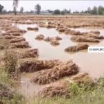 WhatsApp Image 2026-04-11 at 5.49.47 PM