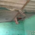 WhatsApp Image 2026-04-23 at 3.47.42 PM