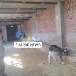 WhatsApp Image 2026-04-27 at 3.24.45 PM