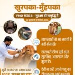 WhatsApp Image 2026-07-20 at 1.37.05 PM